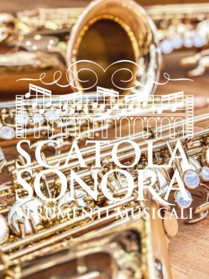 SASSOFONO TENORE CANNONBALL GLOBAL SERIES USATO