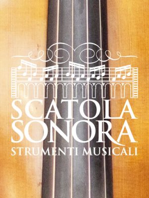VIOLINO 4/4 STENTOR STUDENT I USATO ARCO CARB.