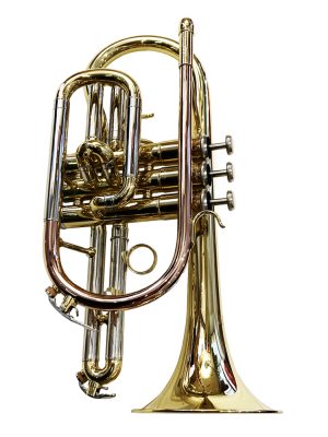 CORNETTA JUBAL CO-555-L