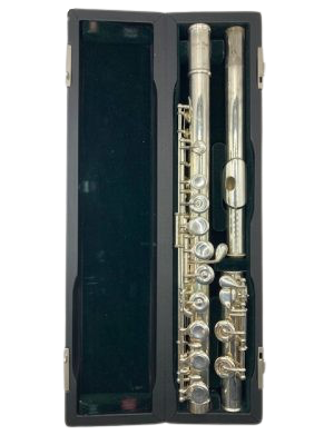 FLAUTO PEARL 500 USATO