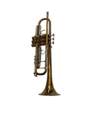 TROMBA BACH 180ML37 USATA