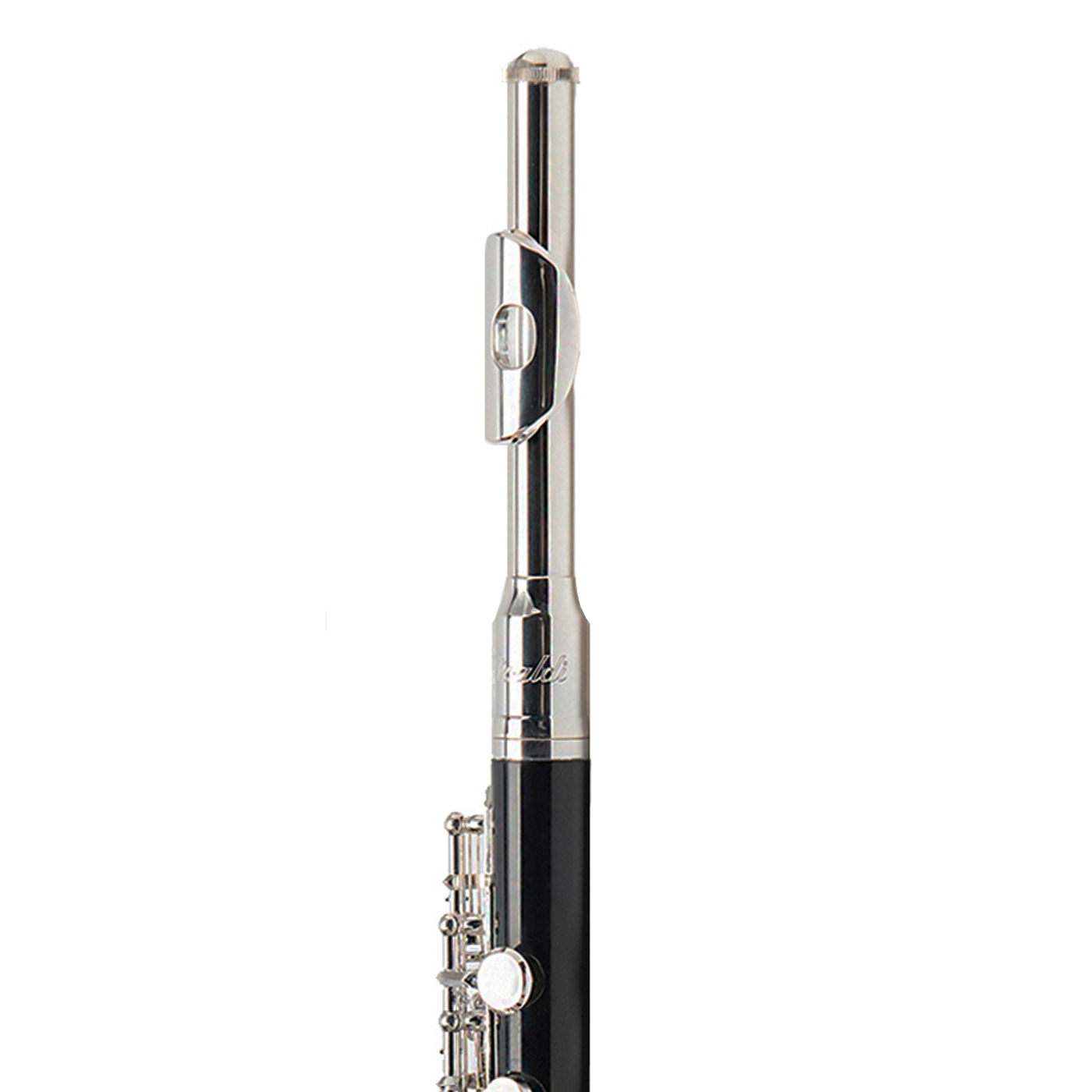 OTTAVINO VIVALDI VPC01