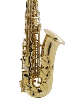 SASSOFONO CONTRALTO SELMER AXOS