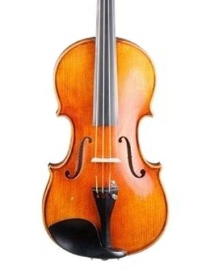 VIOLINO 4/4 VHIENNA