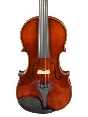 VIOLINO 4/4 DOMUS LICEO VL4300