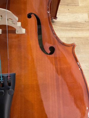 VIOLONCELLI