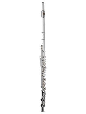 FLAUTO DI ZHAO DZ 301 CGF