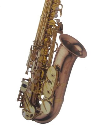 SASSOFONO CONTRALTO YANAGISAWA A-WO20 ELITE