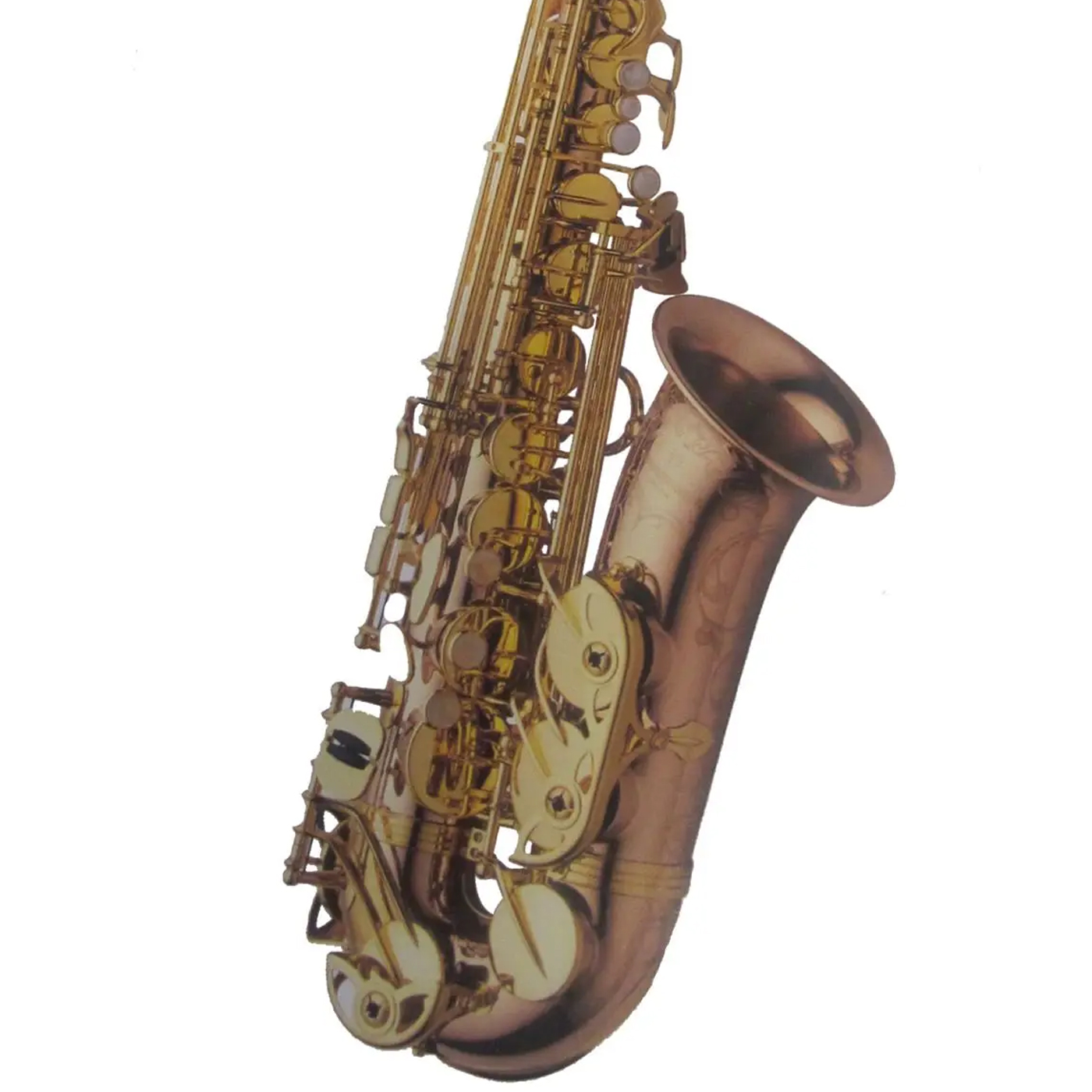 SASSOFONO CONTRALTO YANAGISAWA A-WO20 ELITE