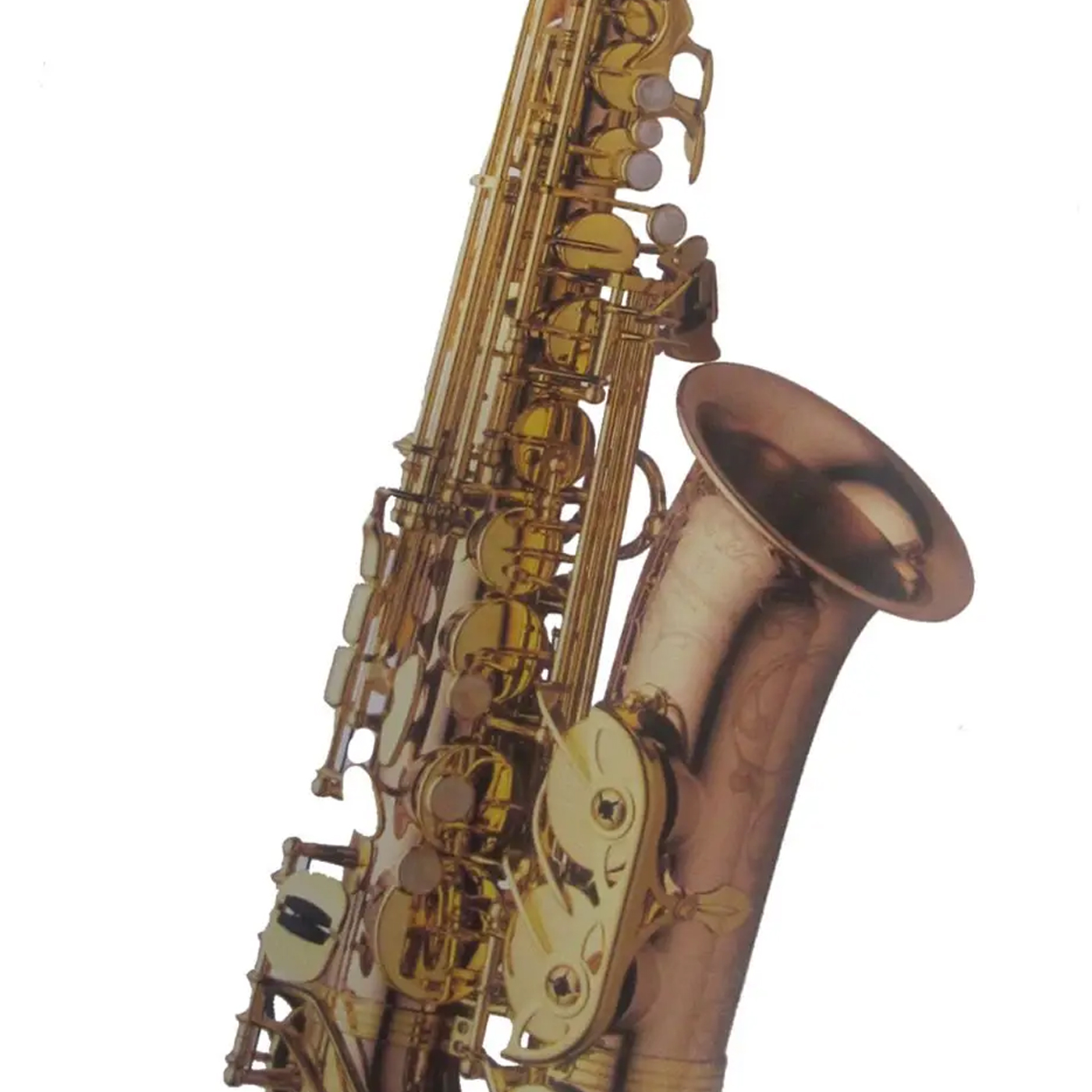 SASSOFONO CONTRALTO YANAGISAWA A-WO20 ELITE