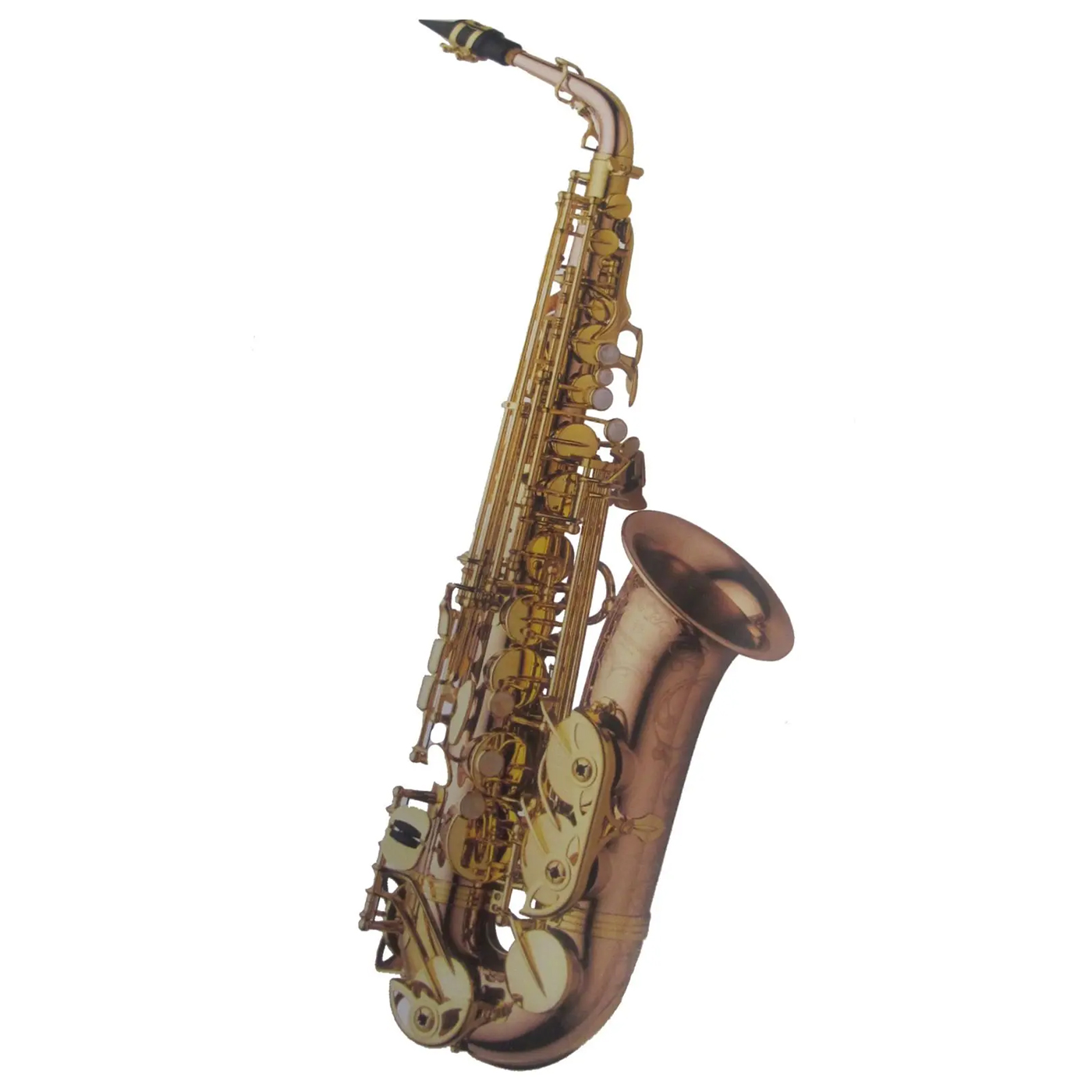 SASSOFONO CONTRALTO YANAGISAWA A-WO20 ELITE